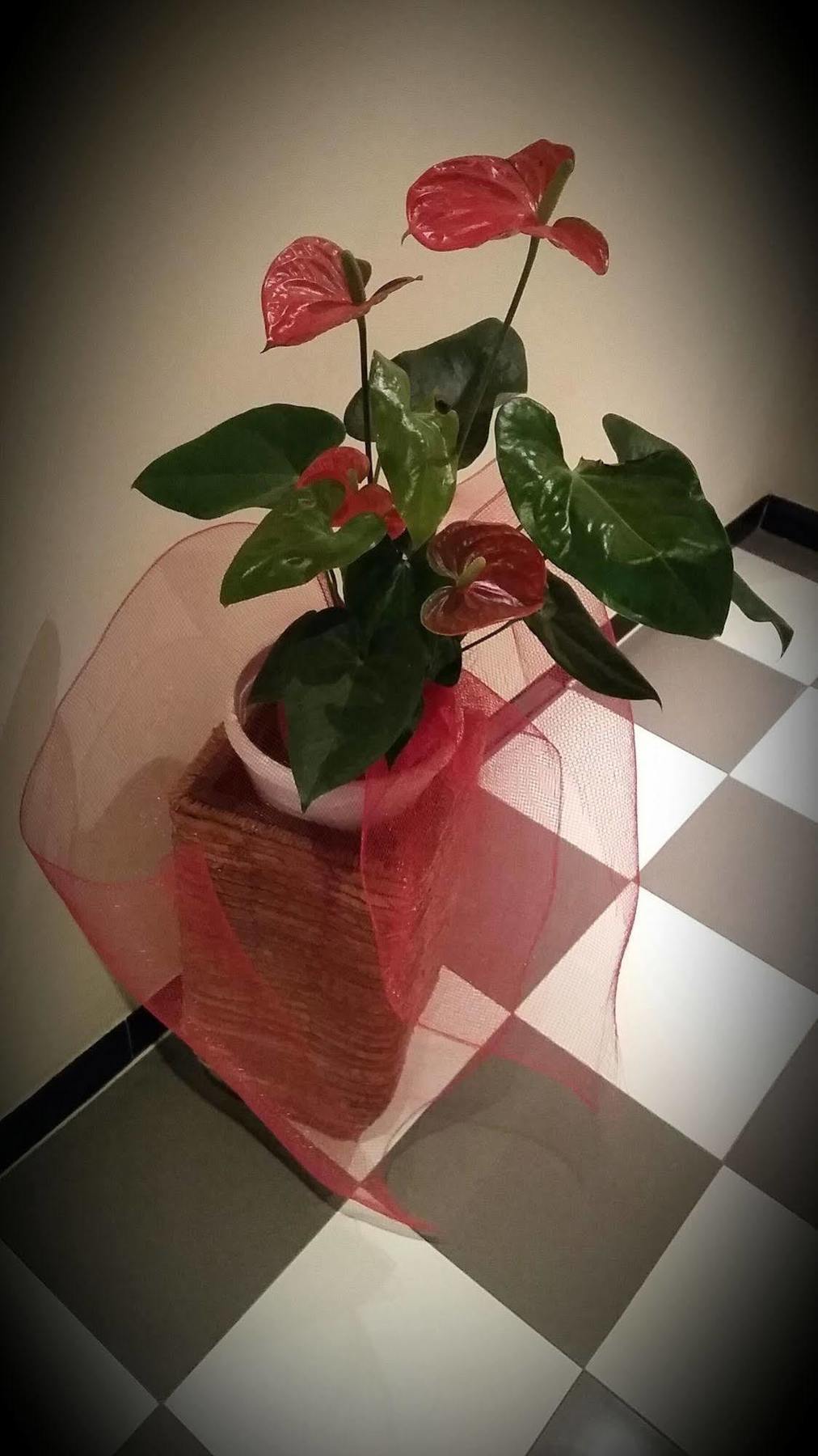 Roma Da Noi Bed & Breakfast Bagian luar foto
